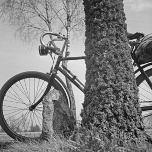 Ein Fahrrad lehnt an einem moosbewachsenen Baum in der Lüneburger Heide, Deutschland 1930er Jahre. A bicycle leaning on a tree at Luneburg Heath area, Germany 1930s. Ein Fahrrad lehnt an einem moosbewachsenen Baum in der Lüneburger Heide, Deutschland 1930er Jahre. A bicycle leaning on a tree at Luneburg Heath area, Germany 1930s.